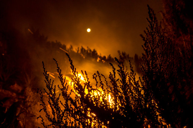 _DSC1879F FINAL1 copy.jpg