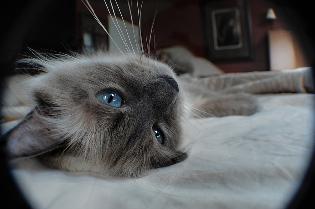 DSC_3021.JPG