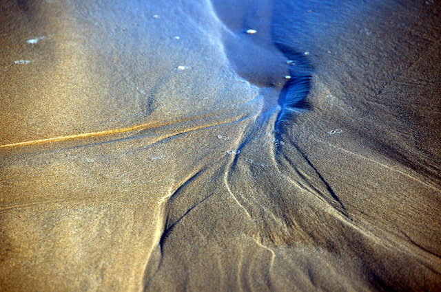 Delta del Ebro_0011.JPG
