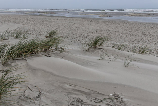 Schiermonnikoog