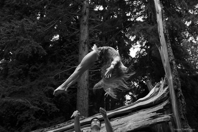 Movement study - Gymnastics