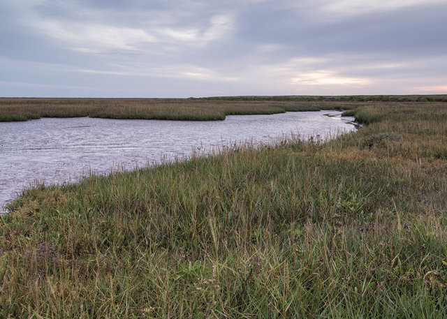 Salt marshes, Blakeney