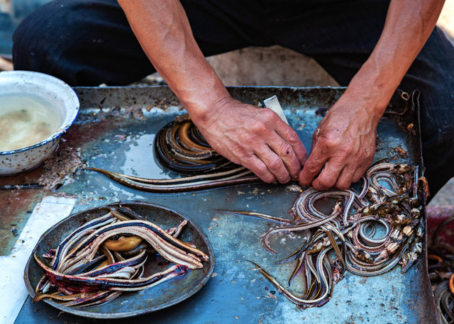 2012-05-20 Shanghai_453-1.jpg
