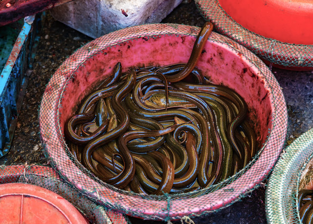 2012-05-20 Shanghai_442-1.jpg