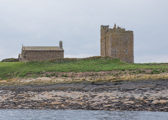 Farne Islands