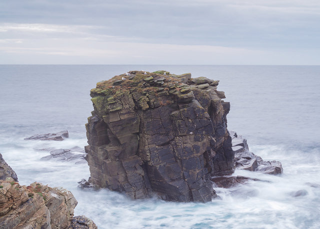 Skerries in the West Voe of Sumburgh