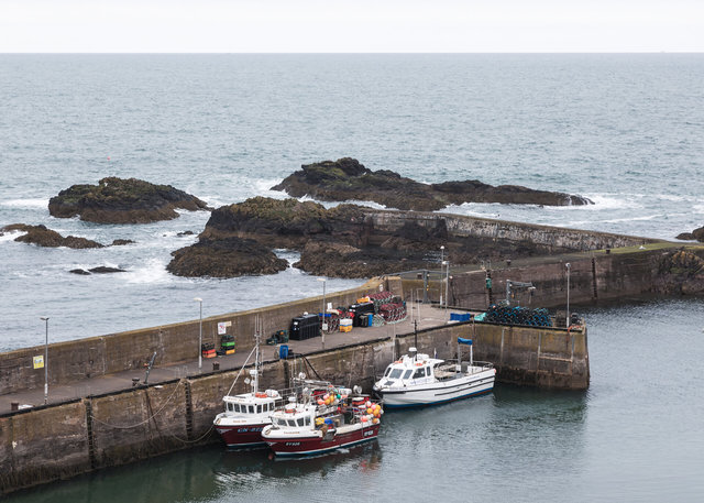 St Abbs Harbour