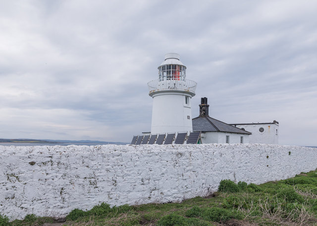 Farne Islands