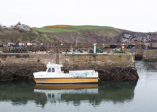 St Abbs Harbour