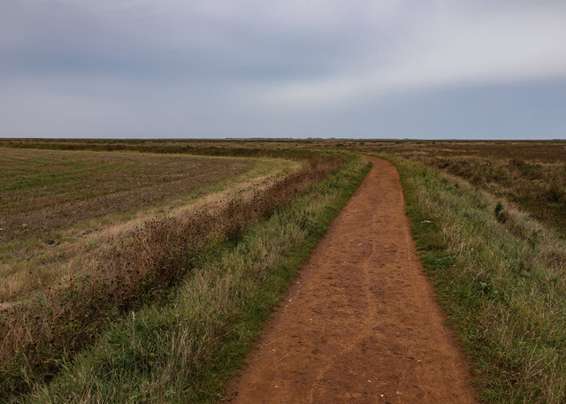 Path in marshes from Blakeney to Morston