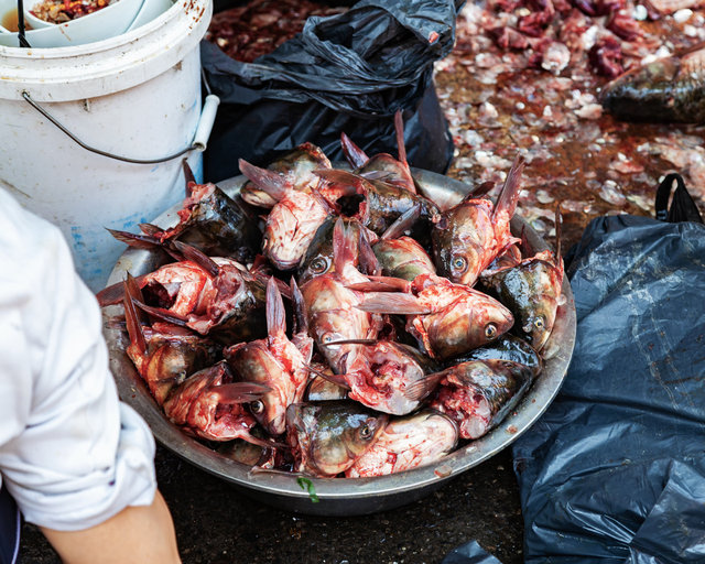 2012-05-20 Shanghai_372-1.jpg