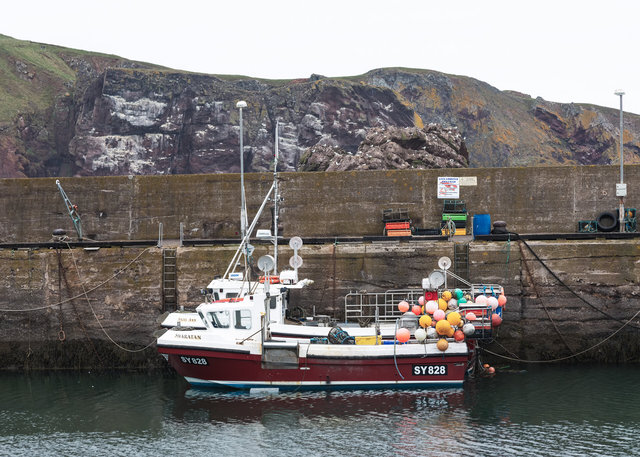 St Abbs Harbour