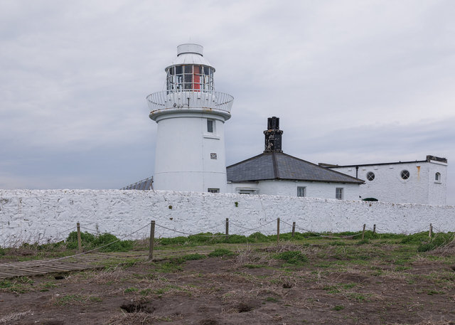Farne Islands