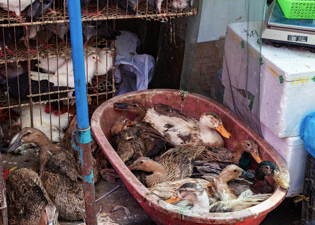 2012-05-20 Shanghai_432-1.jpg