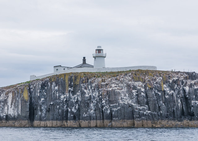 Farne Islands