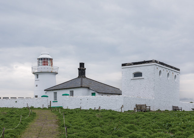 Farne Islands