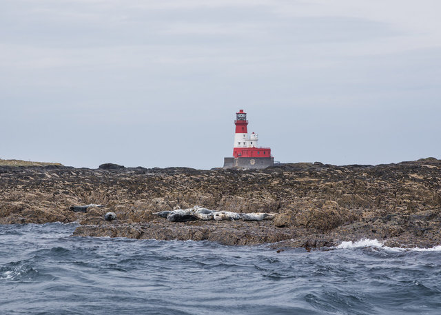 Farne Islands