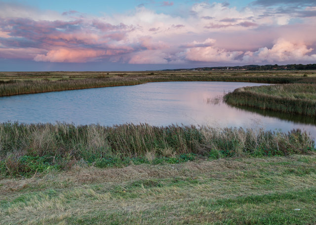 Blakeney salt marshes