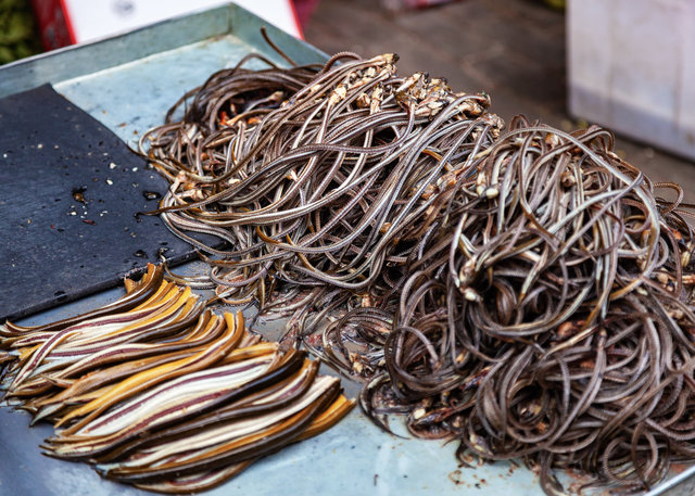 2012-05-20 Shanghai_578-1.jpg