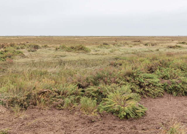 Morston salt marshes