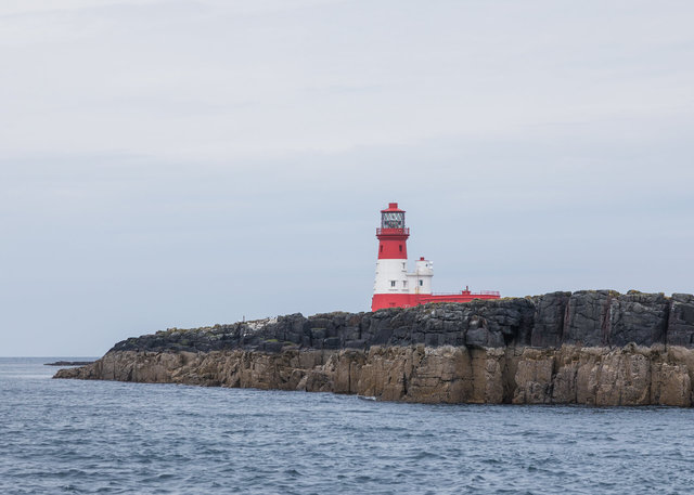 Farne Islands