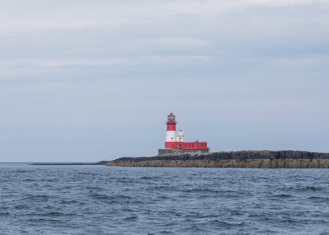 Farne Islands