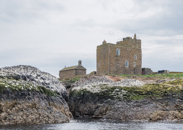 Farne Islands
