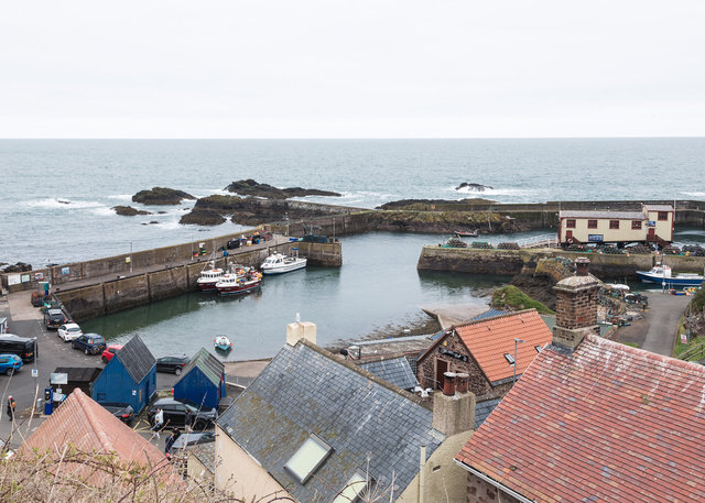 St Abbs Harbour