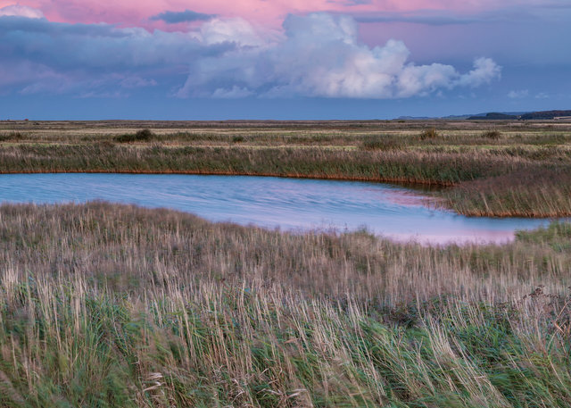 Blakeney salt marshes