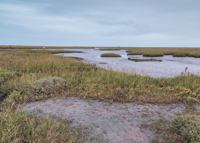 Salt marshes, Blakeney