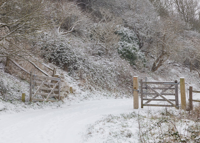 Seven Sisters Country Park