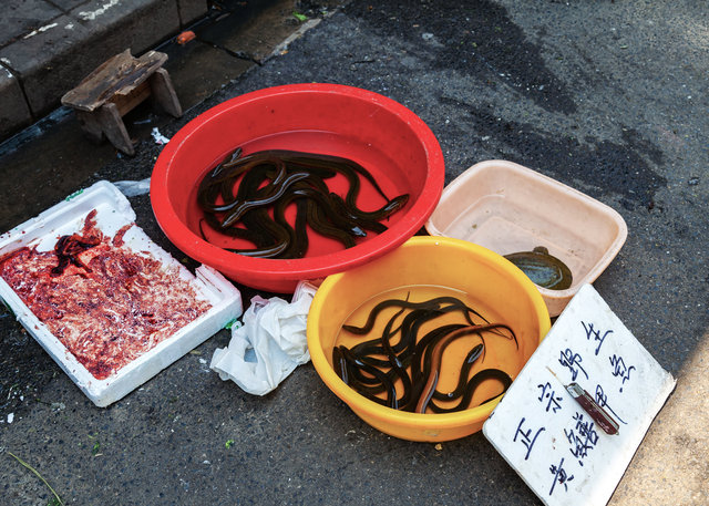 2012-05-20 Shanghai_421-1.jpg