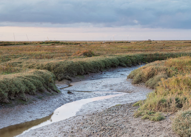 Muddy creek, Blakeney