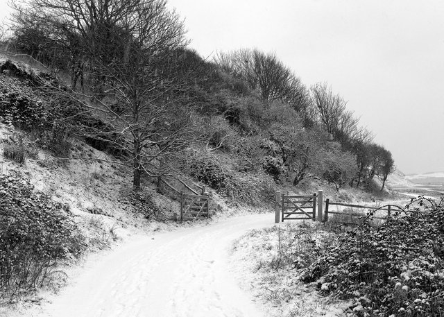 Seven Sisters Country Park