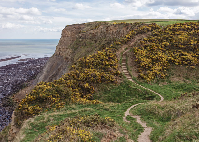 Cleveland Way towards Runswick Bay