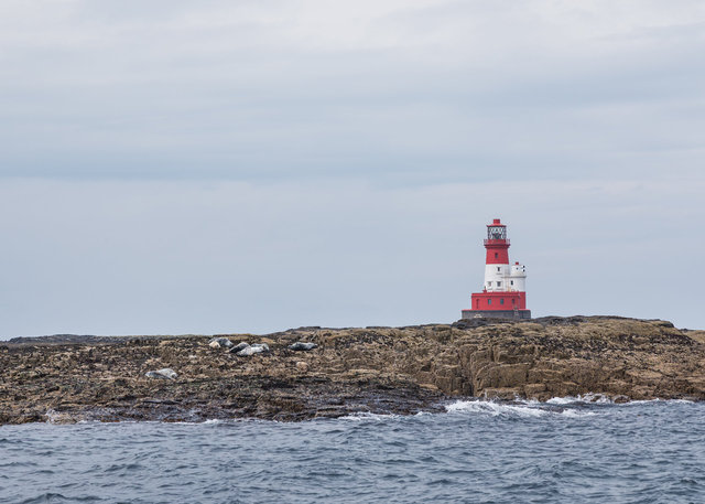 Farne Islands