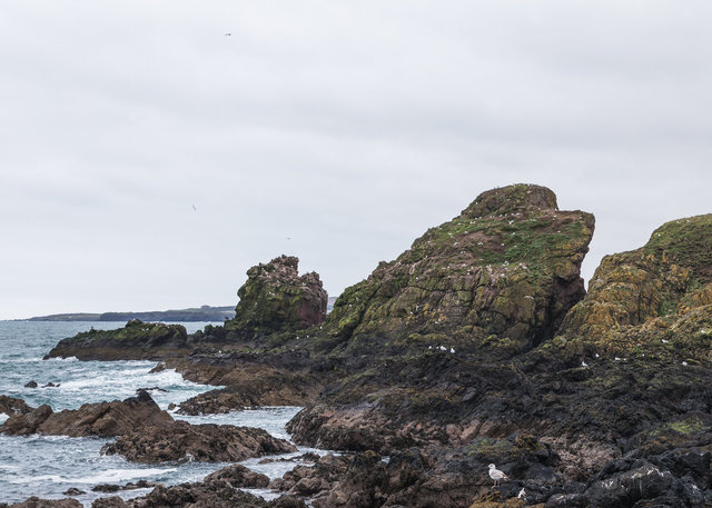 Near St Abbs Harbour