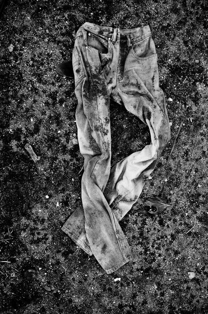 Pearblossem Highway-7.jpg