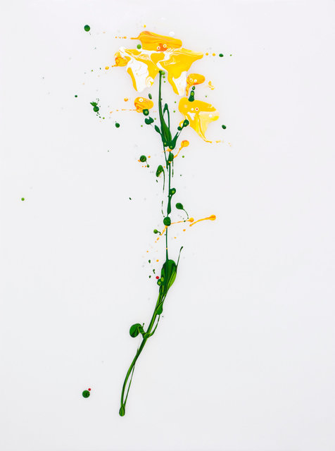 Flora XI