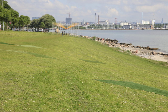 _MG_4963.JPG