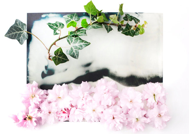 FLOWERS_1_061.JPG