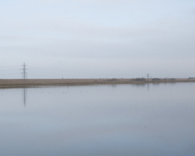 Staines North Reservoir, 2009