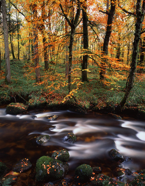 River Webburn