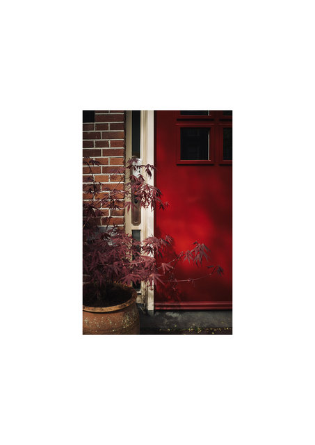 red door.jpg