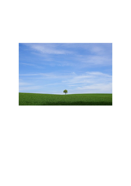 profotonet4.jpg