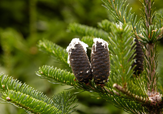IMG_7490.jpg