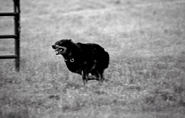 IMG_9439.jpg