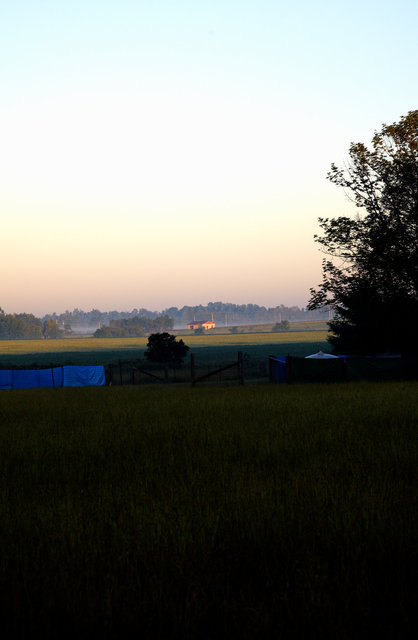 IMG_3399.jpg