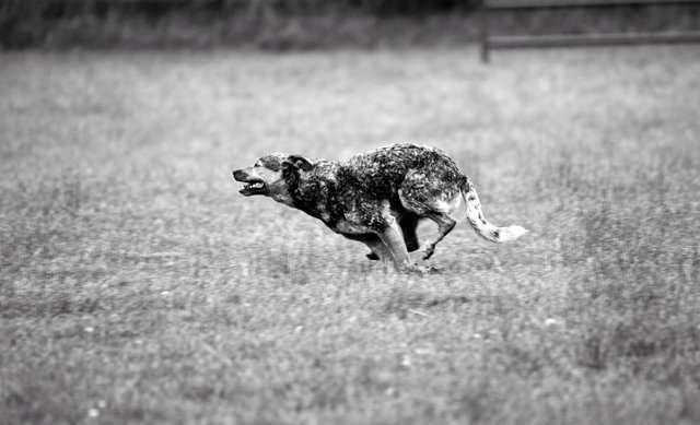 IMG_1075.jpg