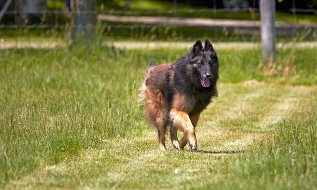 IMG_6469.jpg